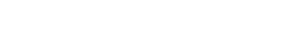 Logo Leansight